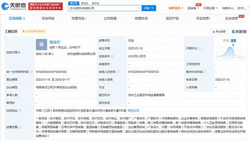 藍(lán)色光標(biāo)投資成立藍(lán)顏科技公司,注冊(cè)資本6250萬
